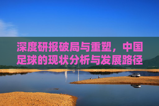 深度研报破局与重塑,中国足球的现状分析与发展路径展望