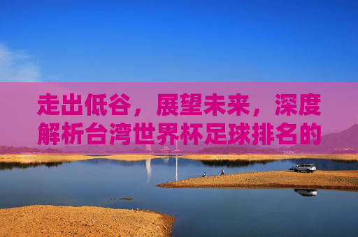 走出低谷,展望未来,深度解析台湾世界杯足球排名的现状与挑战
