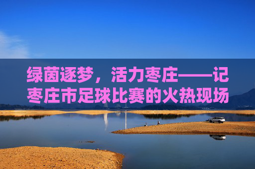 绿茵逐梦，活力枣庄——记枣庄市足球比赛的火热现场