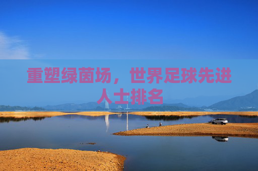 重塑绿茵场，世界足球先进人士排名