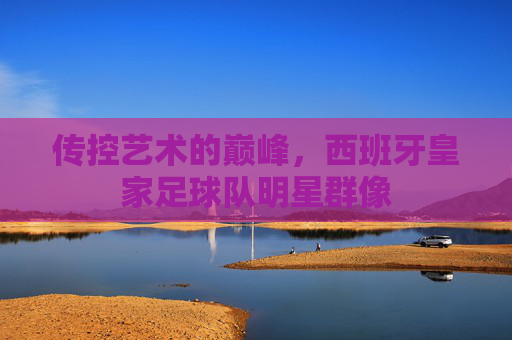 传控艺术的巅峰，西班牙皇家足球队明星群像