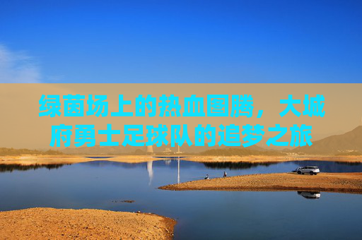绿茵场上的热血图腾,大城府勇士足球队的追梦之旅