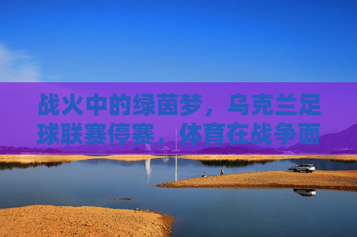 战火中的绿茵梦，乌克兰足球联赛停赛，体育在战争面前的无奈与坚守