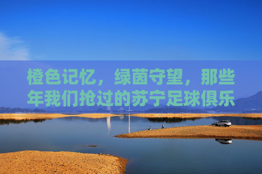 橙色记忆，绿茵守望，那些年我们抢过的苏宁足球俱乐部球票