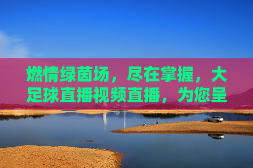 燃情绿茵场，尽在掌握，大足球直播视频直播，为您呈现每一刻精彩