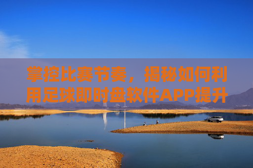 掌控比赛节奏，揭秘如何利用足球即时盘软件APP提升投注胜率