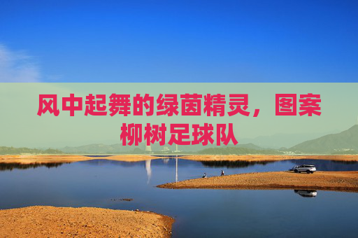 风中起舞的绿茵精灵，图案柳树足球队