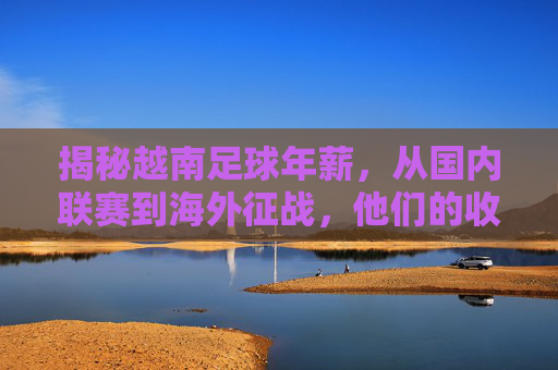 揭秘越南足球年薪，从国内联赛到海外征战，他们的收入究竟是多少？