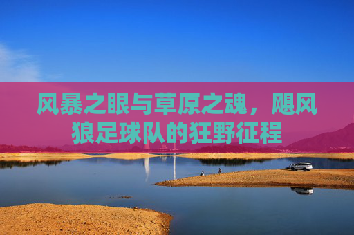 风暴之眼与草原之魂，飓风狼足球队的狂野征程