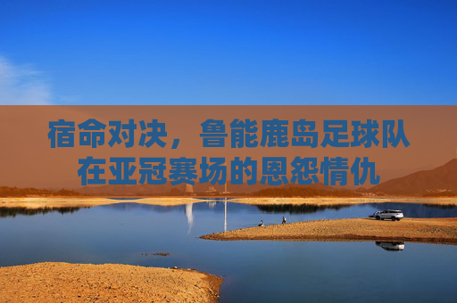 宿命对决，鲁能鹿岛足球队在亚冠赛场的恩怨情仇