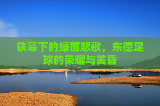 铁幕下的绿茵悲歌，东德足球的荣耀与黄昏