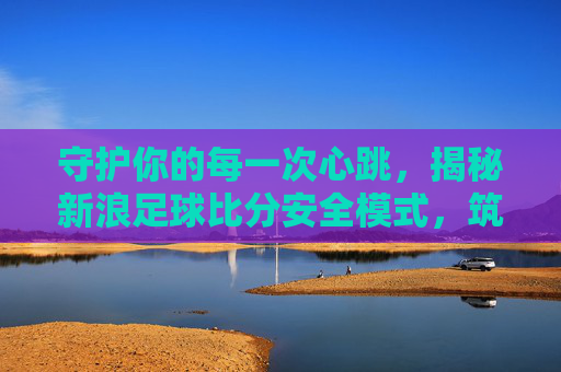 守护你的每一次心跳，揭秘新浪足球比分安全模式，筑牢网络防线