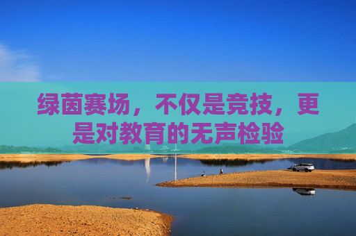 绿茵赛场，不仅是竞技，更是对教育的无声检验