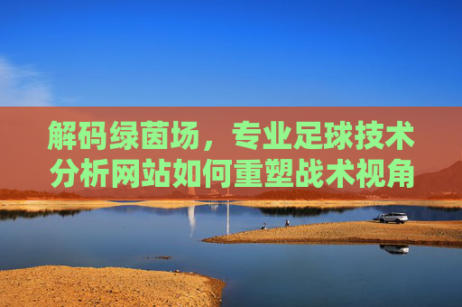 解码绿茵场，专业足球技术分析网站如何重塑战术视角