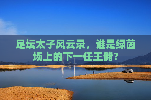 足坛太子风云录,谁是绿茵场上的下一任王储?