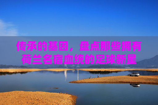 传承的基因，盘点那些拥有荷兰名宿血统的足球新星