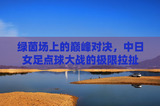 绿茵场上的巅峰对决，中日女足点球大战的极限拉扯