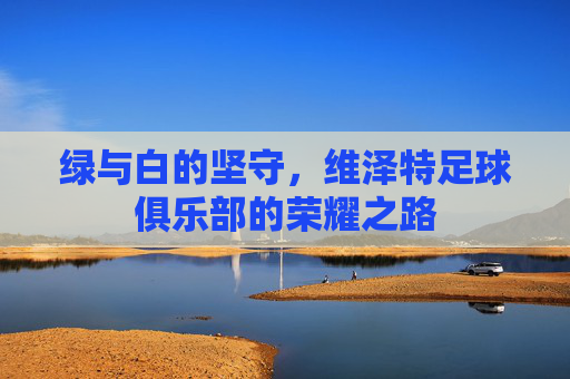 绿与白的坚守，维泽特足球俱乐部的荣耀之路