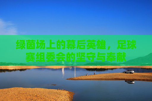 绿茵场上的幕后英雄，足球赛组委会的坚守与奉献