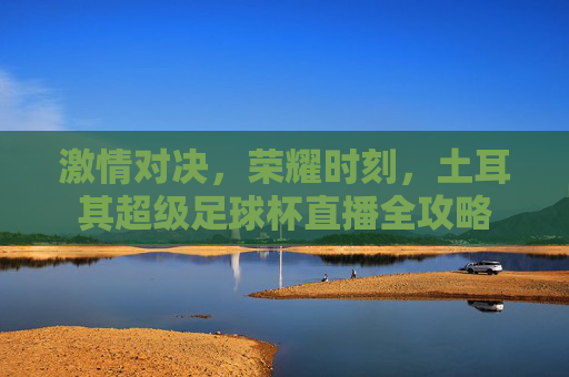 激情对决，荣耀时刻，土耳其超级足球杯直播全攻略