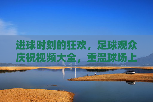 进球时刻的狂欢，足球观众庆祝视频大全，重温球场上的热血沸腾