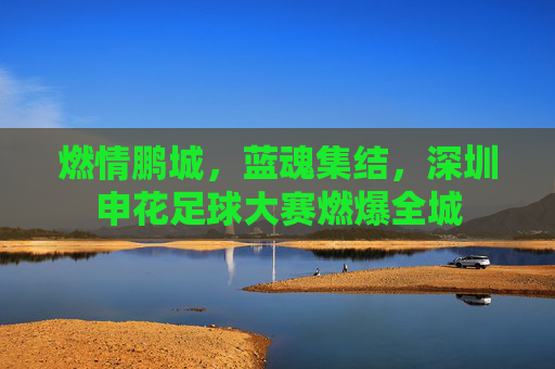 燃情鹏城，蓝魂集结，深圳申花足球大赛燃爆全城