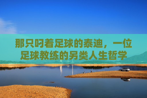 那只叼着足球的泰迪，一位足球教练的另类人生哲学