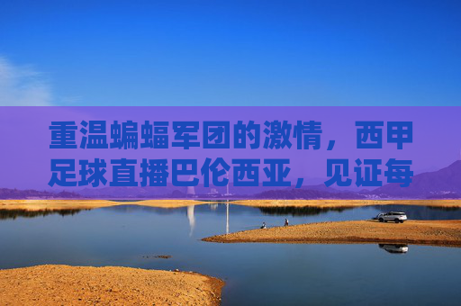 重温蝙蝠军团的激情，西甲足球直播巴伦西亚，见证每一场荣耀时刻