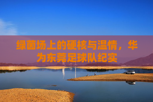 绿茵场上的硬核与温情，华为东莞足球队纪实