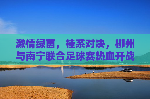 激情绿茵,桂系对决,柳州与南宁联合足球赛热血开战