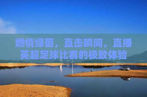 燃情绿茵,直击瞬间,直播英超足球比赛的极致体验