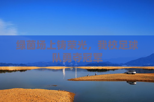绿茵场上铸荣光,我校足球队勇夺冠军