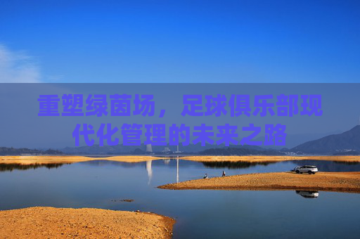 重塑绿茵场,足球俱乐部现代化管理的未来之路