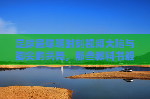 足球最聪明时刻视频大脑与脚尖的共舞,那些教科书般的战术艺术