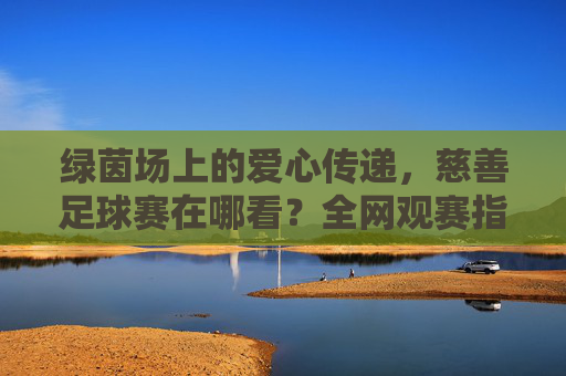 绿茵场上的爱心传递，慈善足球赛在哪看？全网观赛指南