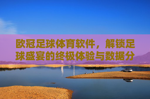欧冠足球体育软件,解锁足球盛宴的终极体验与数据分析神器