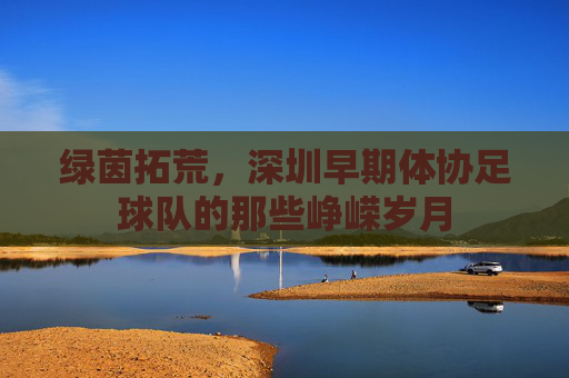 绿茵拓荒，深圳早期体协足球队的那些峥嵘岁月