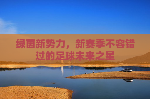 绿茵新势力,新赛季不容错过的足球未来之星