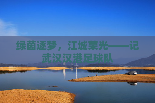 绿茵逐梦，江城荣光——记武汉汉港足球队