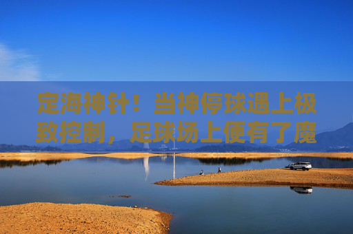 定海神针！当神停球遇上极致控制，足球场上便有了魔术