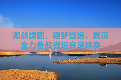 激战绿茵，逐梦省运，武汉全力备战省运会足球赛