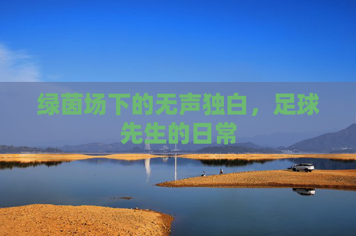 绿茵场下的无声独白，足球先生的日常