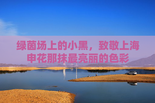 绿茵场上的小黑,致敬上海申花那抹最亮丽的色彩