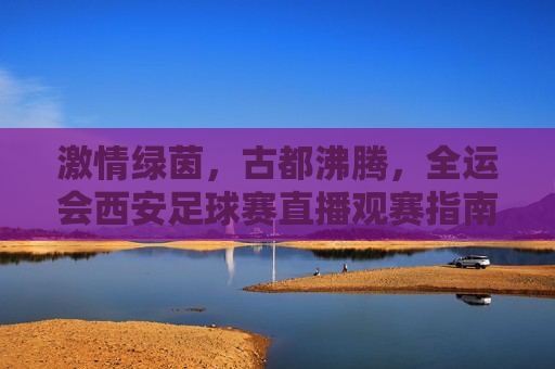 激情绿茵,古都沸腾,全运会西安足球赛直播观赛指南