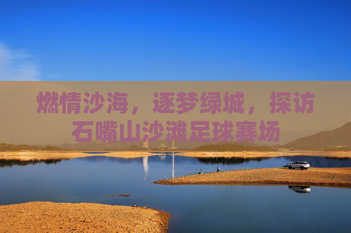 燃情沙海,逐梦绿城,探访石嘴山沙滩足球赛场