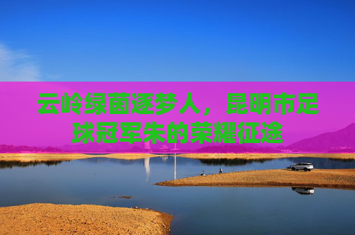 云岭绿茵逐梦人,昆明市足球冠军朱的荣耀征途