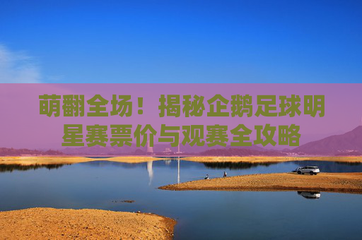 萌翻全场！揭秘企鹅足球明星赛票价与观赛全攻略