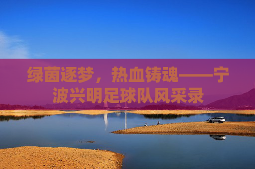 绿茵逐梦,热血铸魂——宁波兴明足球队风采录