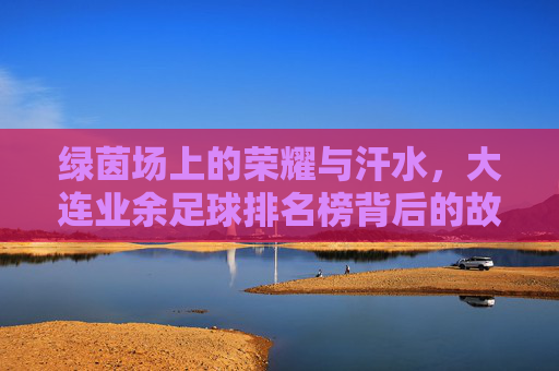 绿茵场上的荣耀与汗水,大连业余足球排名榜背后的故事