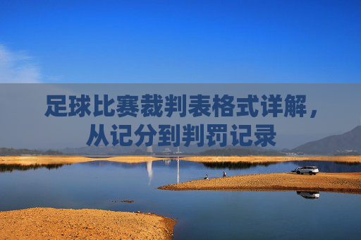 足球比赛裁判表格式详解,从记分到判罚记录